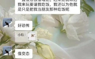 王昭君养猪套路出装攻略（打造最强养猪装备，让王昭君一秒变身战争女神）