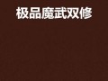 魔武双休出装攻略（提升输出利器，瞬间逆袭敌阵）