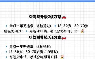 驾照手游攻略（驾照手游攻略技巧、策略和秘诀分享，助你快速提升等级！）
