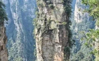 《揭秘时空之轮紫馨攻略》（成为绝世强者的关键一步！）