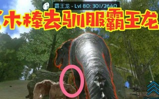 《方舟手游版宠物抓法攻略》（以科学捕捉技巧帮助你抓住所有珍稀宠物）