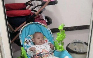 《我的幻影保镖》游戏攻略（保护任务、战斗技巧、秘籍揭秘，带你玩转《我的幻影保镖》）