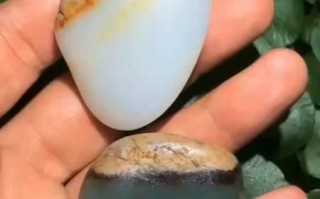 玉母蜘蛛攻略（掌握最佳装备选择，成为玉母蜘蛛巅峰玩家）