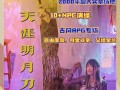 天涯明月刀暗杀攻略（掌握关键技巧，成为无敌刺客）