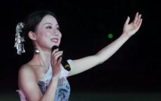 《以凤逃亦子倾攻略（揭秘《以凤逃亦子倾》的世界，解读穿越架空小说的成功之道）