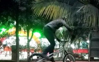 梦幻手游单车攻略（尽揽风光，拓展征程，让单车成为你的梦幻利器）