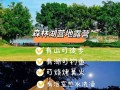 《探索自然趣味——8岁露营游戏攻略》（带领孩子近距离接触大自然，体验乐趣无穷）