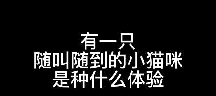 《我的战争》中重情义团长的种种体验（游戏中的情感共鸣与传承）-第2张图片-游戏玩法大全_
