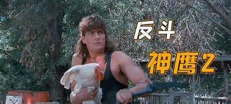 如何最大化利用反斗联盟空投武器？（游戏攻略指南，让你成为无敌的武器专家！）-第1张图片-游戏玩法大全_