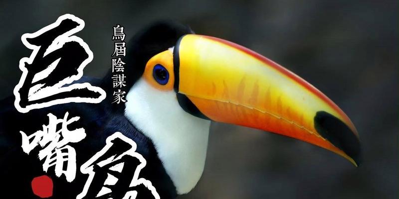 鸟家司马懿出装攻略（成为战场控制的关键｜司马懿玩法）-第3张图片-游戏玩法大全_