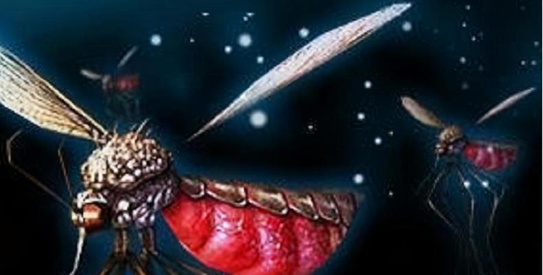 《以虫子神话出装攻略最新》（云顶之弈虫子套装、装备选择及技巧总结）-第3张图片-游戏玩法大全_