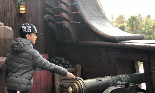 《以海盗来了摇炮攻略》（打造顶级游戏技巧，征服无敌海盗！）-第2张图片-游戏玩法大全_