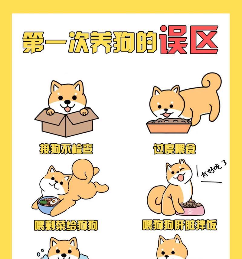 家养狗狗游戏攻略（如何在游戏中培养健康快乐的狗狗，让它们成为你的最佳伙伴）-第3张图片-游戏玩法大全_