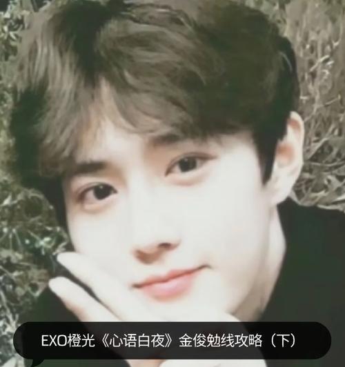 寻花问柳橙光游戏攻略（体验游戏中的美丽与乐趣，掌握攻略窍门，尽情寻找花朵和橙光）-第2张图片-游戏玩法大全_