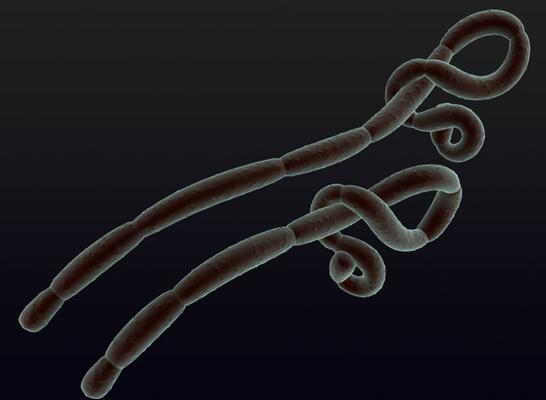 Ebola1游戏攻略（战胜病毒，拯救人类命运的关键策略）-第3张图片-游戏玩法大全_