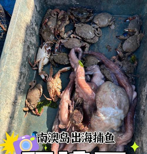 捕鱼任务游戏攻略大揭秘（成为捕鱼高手的关键技巧）-第2张图片-游戏玩法大全_