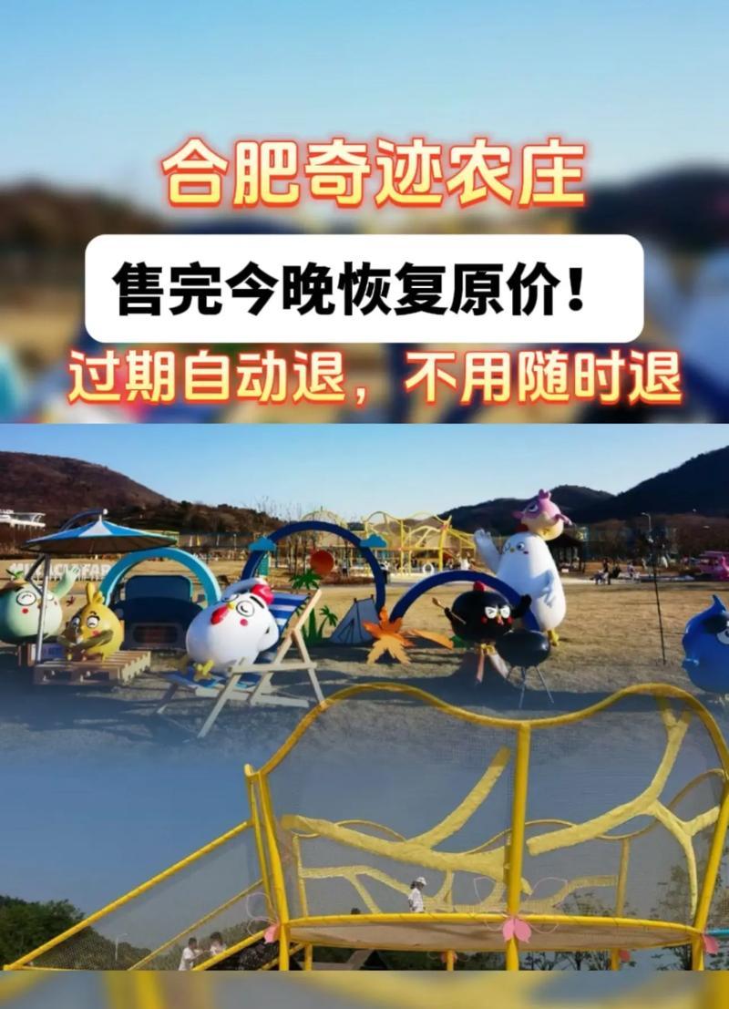 探寻乐园中的欢乐世界（合肥亲子乐园游戏攻略大揭秘！）-第3张图片-游戏玩法大全_