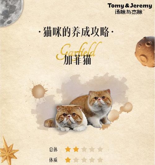 《探索宠物医院游戏世界，成为加菲猫的最佳伙伴！》（加菲猫攻略与技巧，让你在宠物医院游戏中游刃有余）-第1张图片-游戏玩法大全_