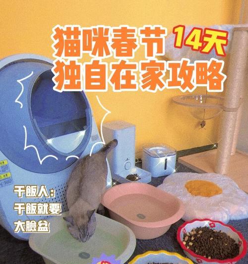 独自在家的最后游戏攻略（在家玩游戏终极攻略，助你打败无聊时光）-第3张图片-游戏玩法大全_